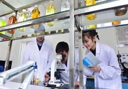 五一勞動節(jié)，致敬為夢想步履不停的金雪馳人