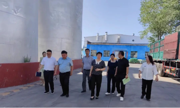 提信心 促發(fā)展|奎屯市副市長(zhǎng)、伊犁州科技局局長(zhǎng)、奎屯市科技局局長(zhǎng)一行調(diào)研金雪馳奎屯工廠